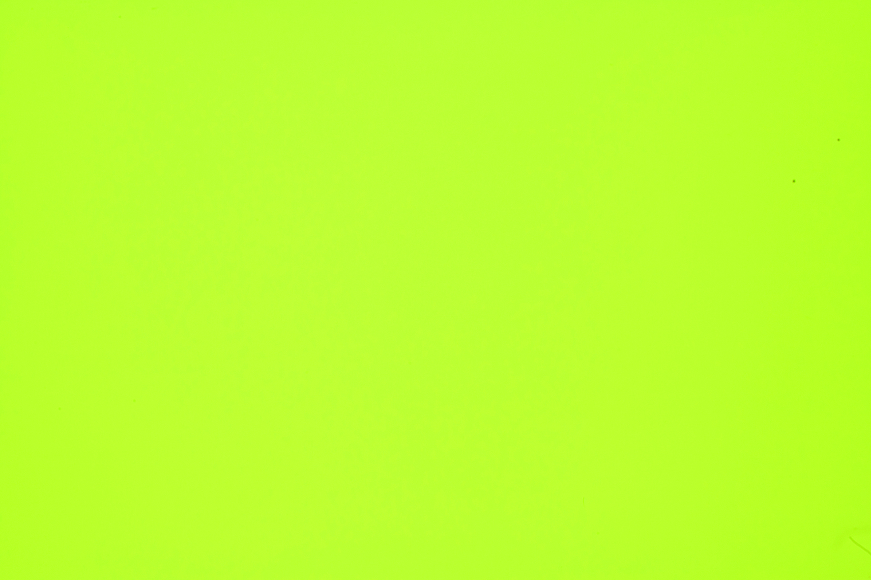 main image of Lime green