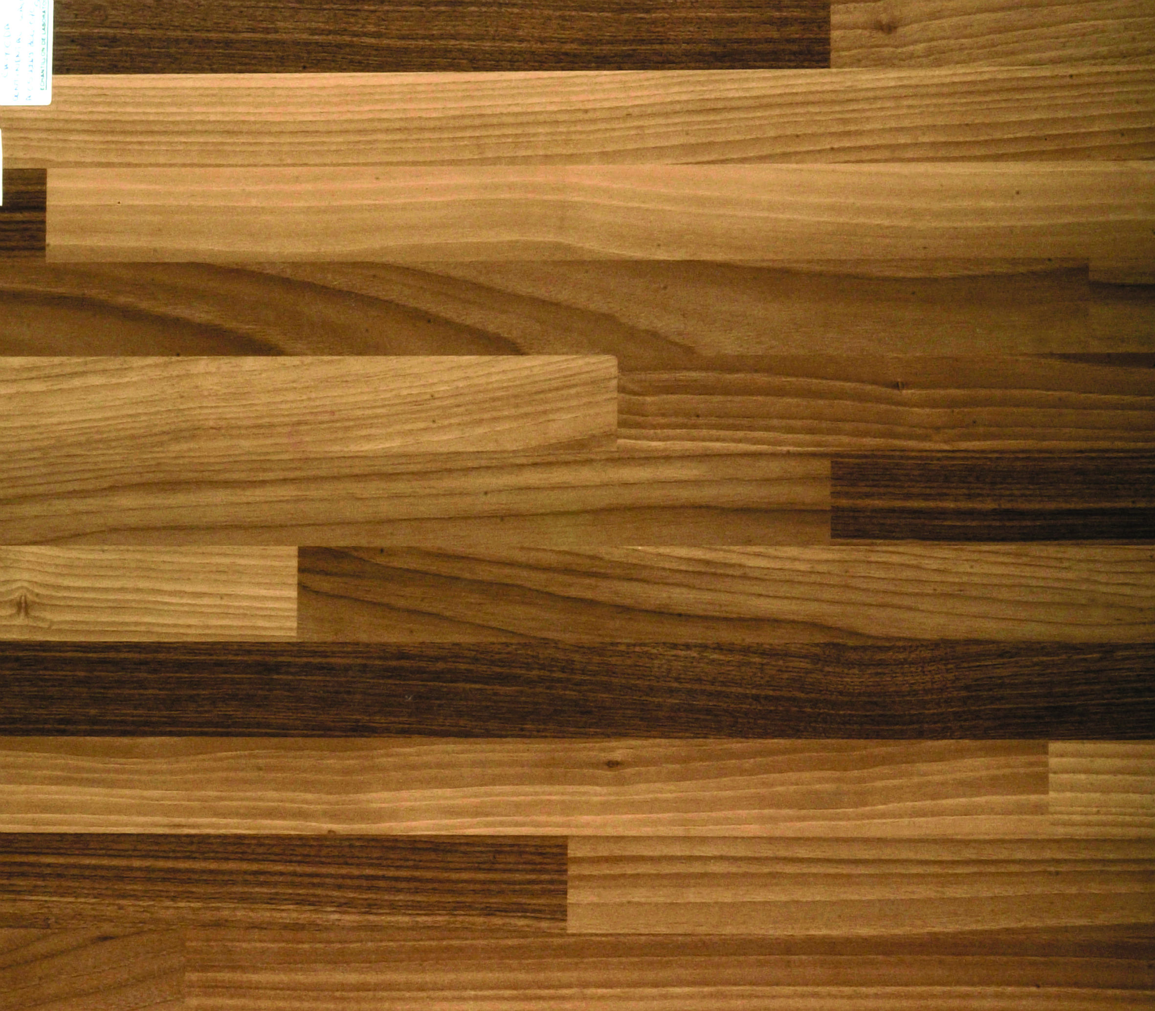 main image of Light Blocked Walnut